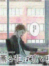 番茄小说app新书县城照相馆封面